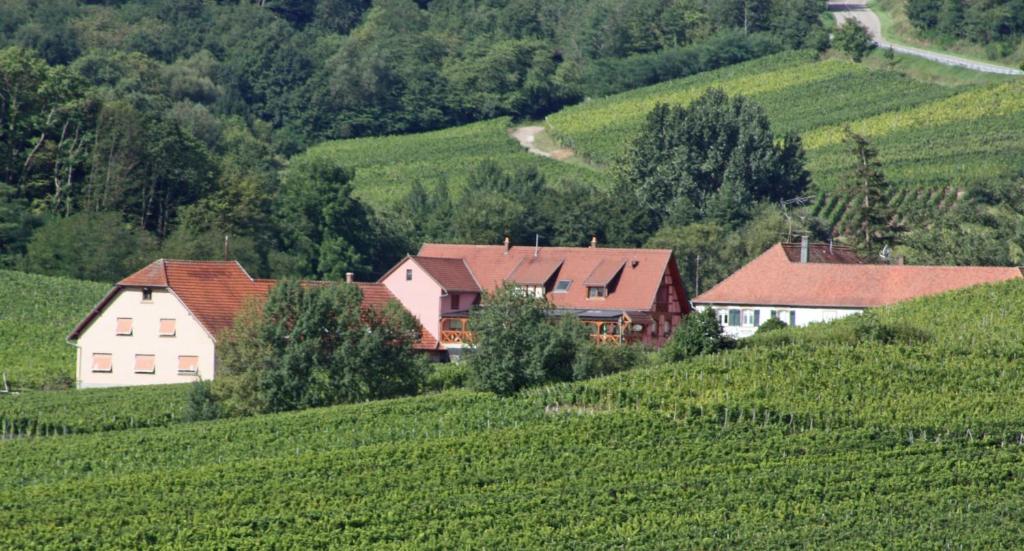 Maison de vacances Gite \ Ferme Boemstein, 67680 Nothalten