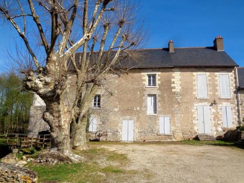 Gîte Fosse, 3 pièces, 5 personnes - FR-1-491-141 Fossé france