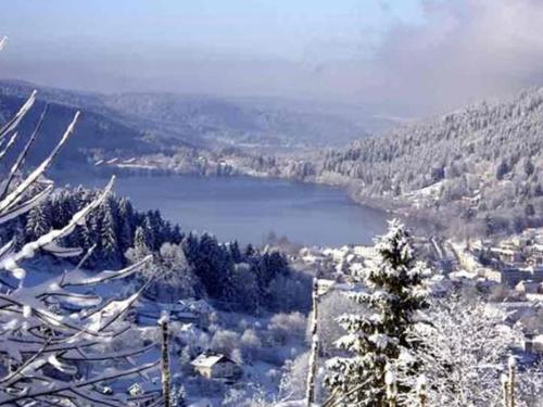 Gîte Gérardmer, 2 pièces, 2 personnes - FR-1-589-56 Gérardmer france