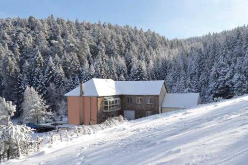 Gite GRETEL de la Ferme du Schneeberg Wangenbourg france