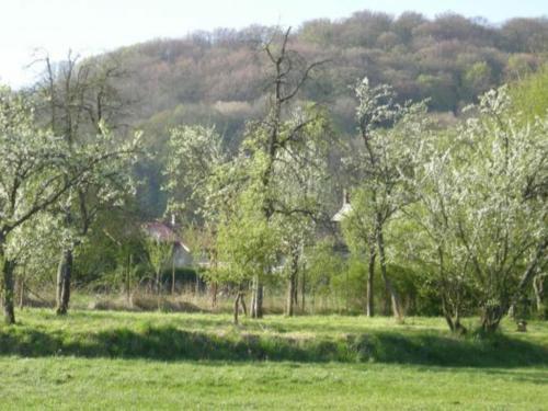 Maison de vacances Gîte Halles-sous-les-Côtes, 3 pièces, 5 personnes - FR-1-585-6 5 rue de la lotée Halles-sous-les-Côtes