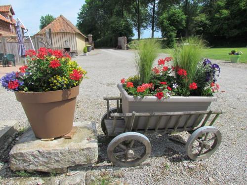 Gîte Hubersent, 4 pièces, 8 personnes - FR-1-376-97 Hubersent france