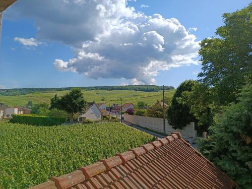 Gîte indépendant Diz'enreves au cœur des vignes Dizy france