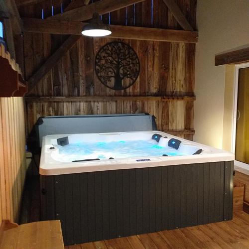 Gîte jacuzzi La Libellule en Périgord La Force france