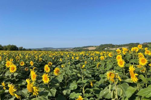 Gite Jeanroy a Cheerful 2 Bedroom Rural Gite Saint-Martial-Viveyrol france