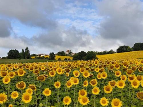 Gîte l' Arbre de Vie indépendant, au calme Les Essards france