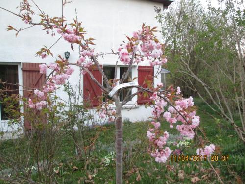 Gîte l Idéal Montsauche-les-Settons france