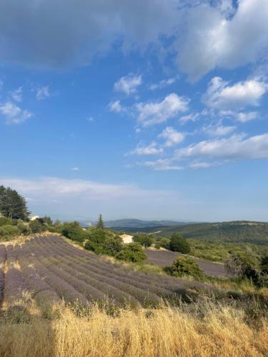 Gîte l’Inattendu Vachères france