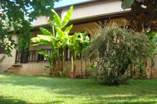 Maison de vacances gîte la bergerie 8 Chemin des Catalpas Sarlat-la-Canéda