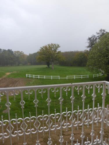 Gite la chaumière Le chateau de la Brosse Brinay france