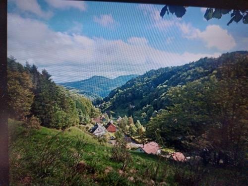 gîte la Fonderie Fréland france