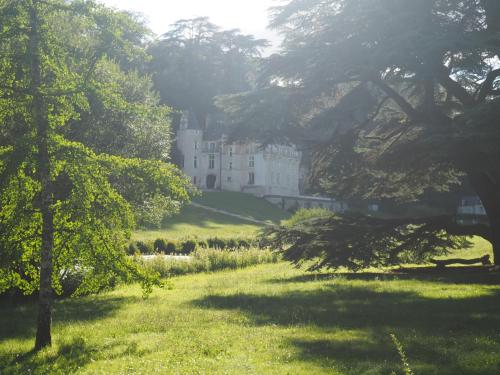 Appartement Gîte Le Chant de La Rivière 7 Résidence du Château Pocé-sur-Cisse