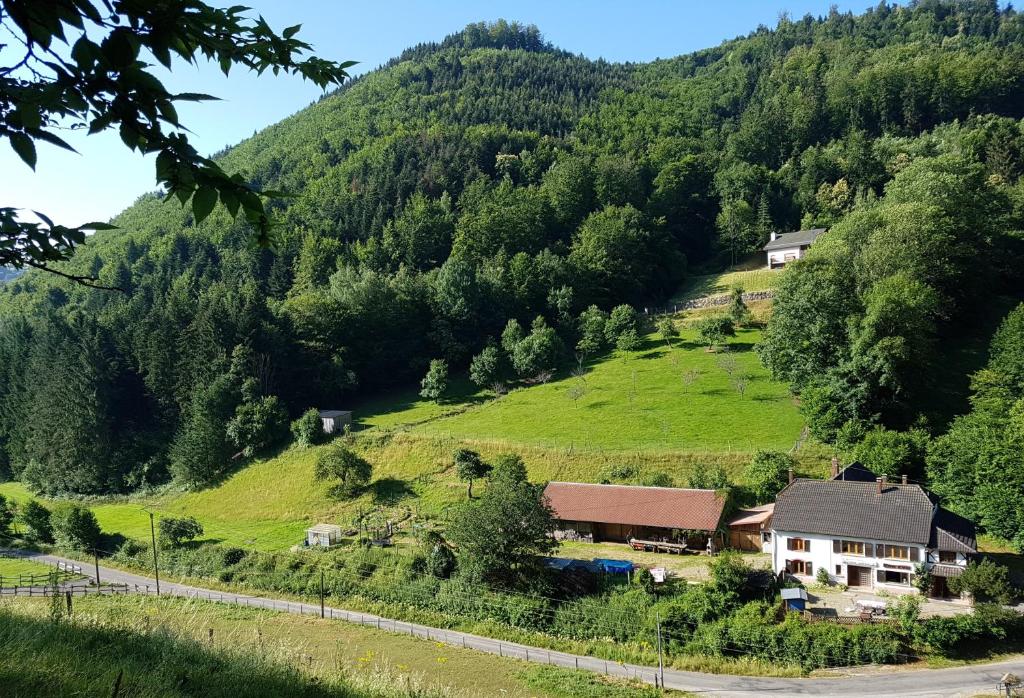 Appartement Gîte Le Creux Chêne 1er étage 6 La Hingrie, 68660 Rombach-le-Franc