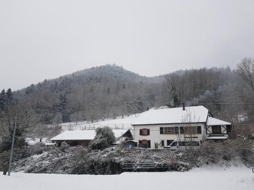 Appartement Gîte Le Creux Chêne 1er étage 6 La Hingrie Rombach-le-Franc