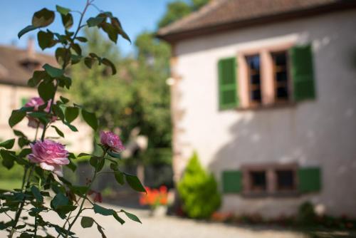 Gite **** Le Meyerhof Rorschwihr france