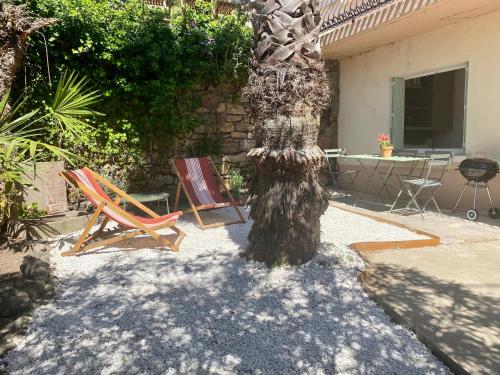 Gîte Le Palmier - Perfectly located cosy studio with private garden Puissalicon france