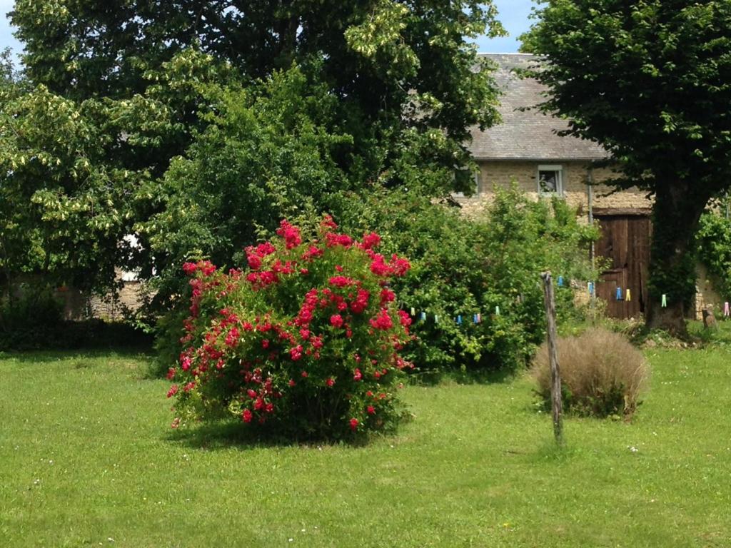 Maison d'hôtes gîte le tilleul de la Fontaine 813 route de tintury, 58110 Alluy