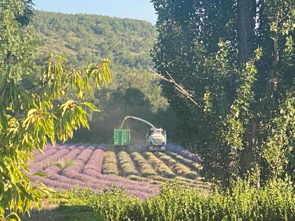 Maison de vacances Gîte Le Tramontane Le Moulin de Prédelles chemin du largue, Les Prédelles, 04110 Reillanne