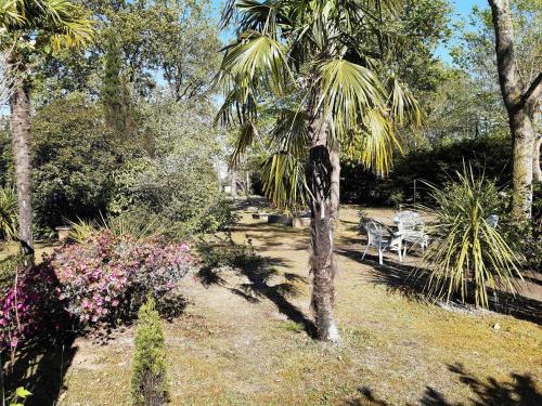 Maison de vacances Gîte les 2 pins - Audenge HOUGUEYRA 376 impasse de la française Audenge