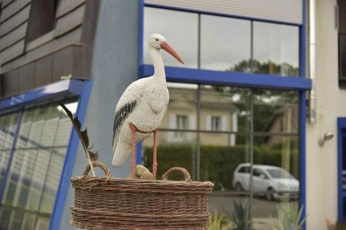 Gite Les cigognes de la Doller Sentheim france