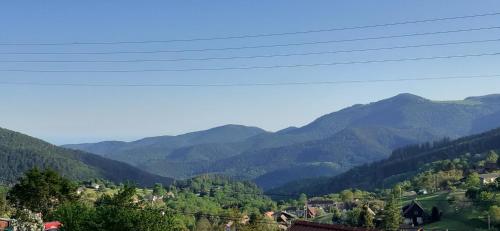 Gite Les Lupins Geishouse france