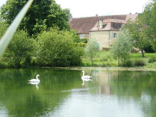 Maison de vacances Gîte Limeuil, 5 pièces, 7 personnes - FR-1-616-137 Grand Barry Limeuil