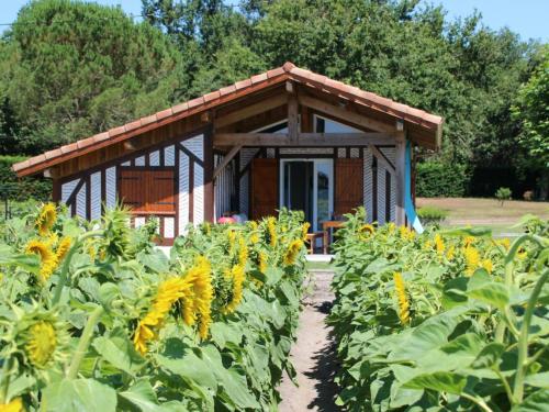 Gîte Linxe, 3 pièces, 4 personnes - FR-1-360-693 Linxe france