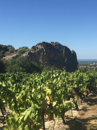 Maison de vacances Gîte LouNao, au pied des dentelles de Montmirail 90 Rue de la Porte de France Aubignan