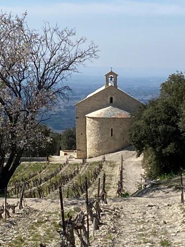 Gîte LouNao, au pied des dentelles de Montmirail Aubignan france