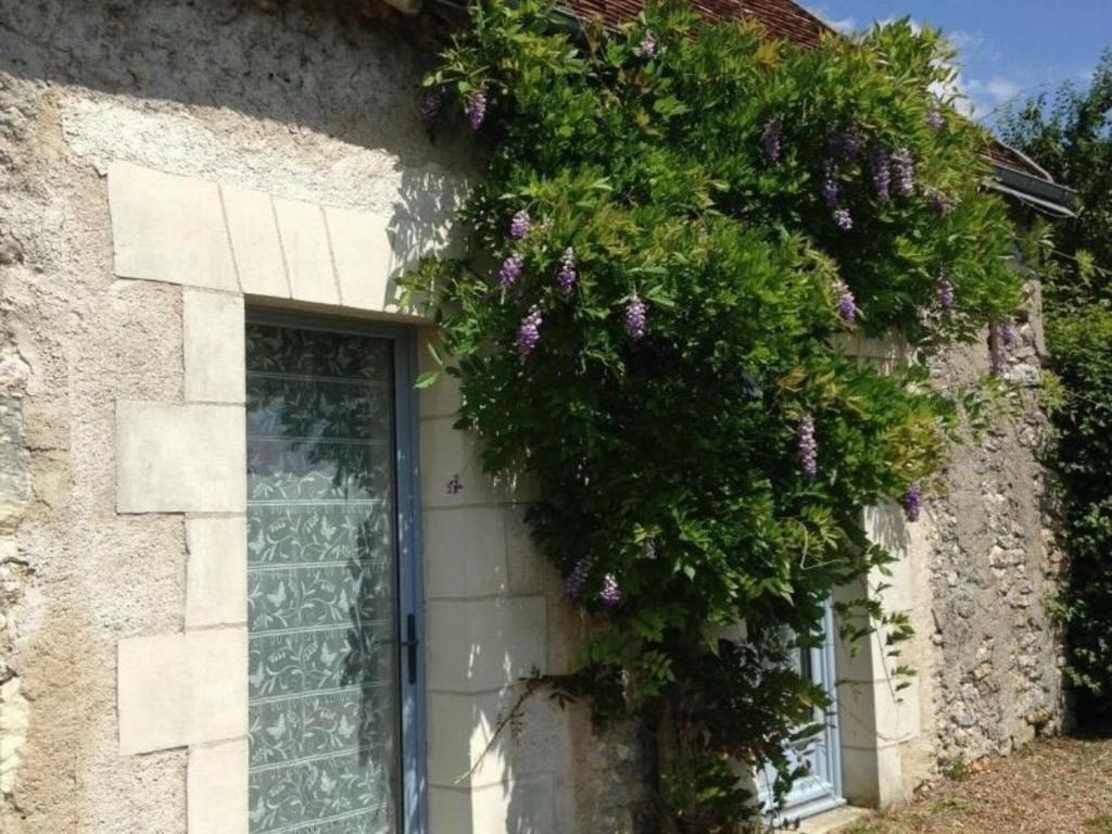 Maison de vacances Gîte Luzillé, 3 pièces, 4 personnes - FR-1-381-303 16 Lieu Dit Corviers -  -, 37150 Luzillé