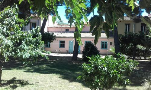 gite mas des écureuils mimosa Palau-del-Vidre france