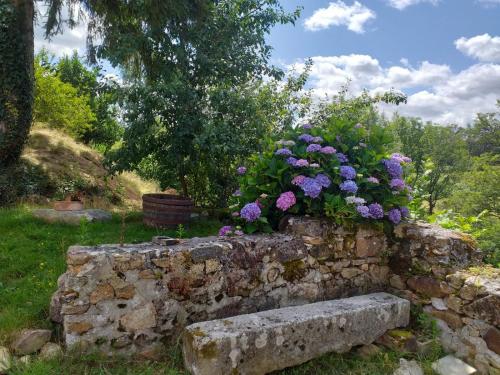 Maison de vacances Gîte Moulin de Ludièras Moulin de Ludièras Busserolles