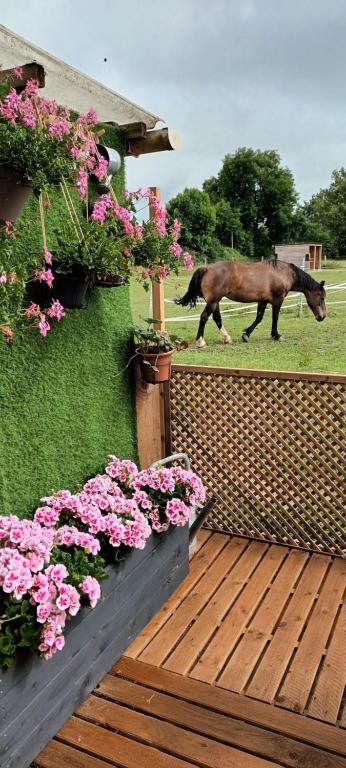 Maison de vacances Gite o vert 229 Route des Granges, 27800 Malleville-sur-le-Bec