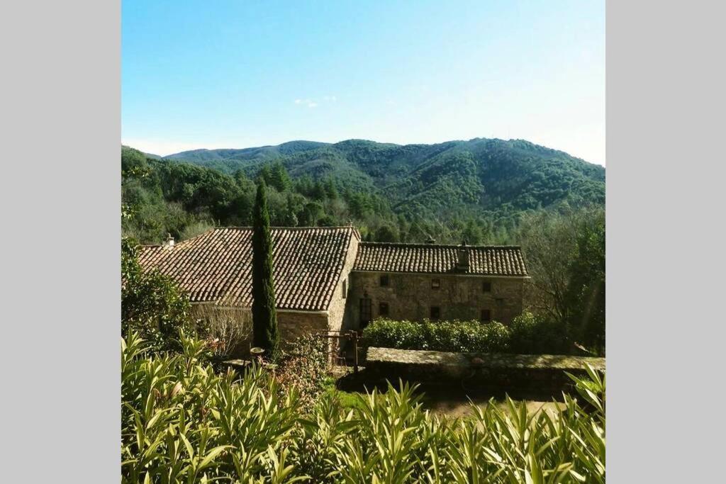 Maison de vacances Gîte Pêcher au Château des Pauses Le Château des Pauses Les Pauses, 30570 Saint-André-de-Majencoules