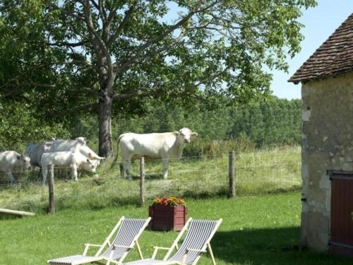 Gîte Pervenchères, 4 pièces, 6 personnes - FR-1-497-49 Pervenchères france