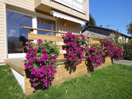 Gîte Plein Sud Metzeral france