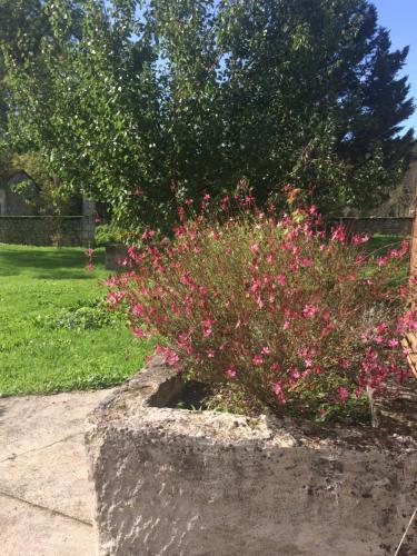 Gîte Rouge Calme et Nature Allas-Bocage france