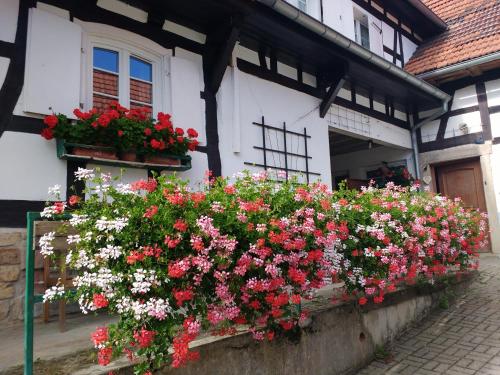 GÎte rue de l'Ange Hunspach france