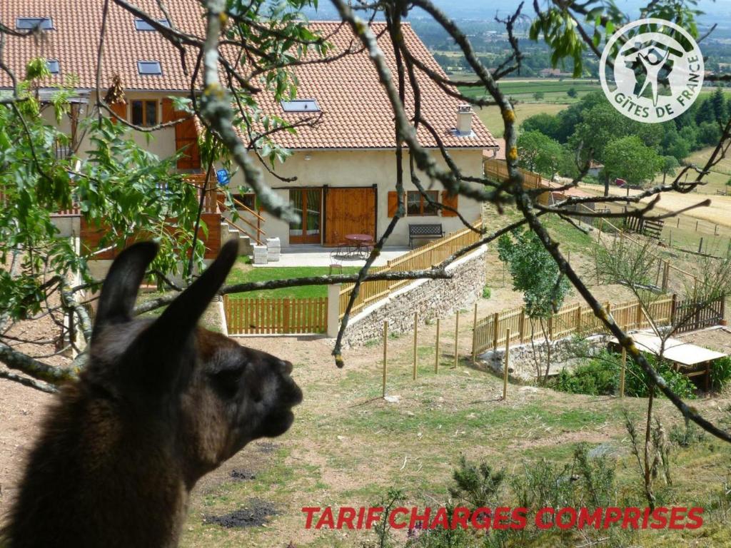 Maison de vacances Gîte Saint-André-d'Apchon, 1 pièce, 2 personnes - FR-1-496-23 200 Chemin du Cros, 42370 Saint-André-dʼApchon