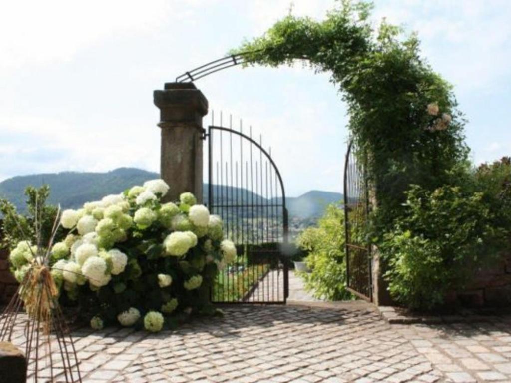 Maison de vacances Gîte Saint-Dié-des-Vosges, 2 pièces, 2 personnes - FR-1-589-209 14 Rue Claude Bassot Lieu-Dit Saint-Roch, 88100 Saint-Dié-des-Vosges