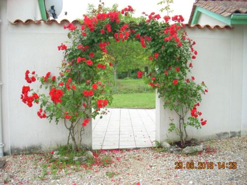 Gîte Saint-Méard-de-Drône, 3 pièces, 3 personnes - FR-1-616-90 Saint-Martin-de-Ribérac france