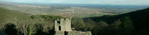 Gîte Schlitteur Et Sapiniere Breitenbach france