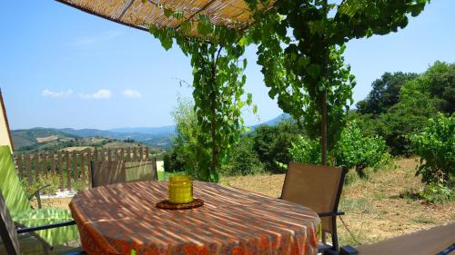 Gîte Vigneron du Domaine d'Alon Magrie france