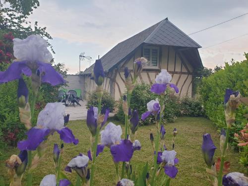 Gîte YZEN près de Honfleur Conteville france