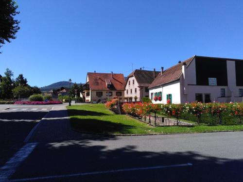 Gites & Camping on the Route des Vins Bergheim france