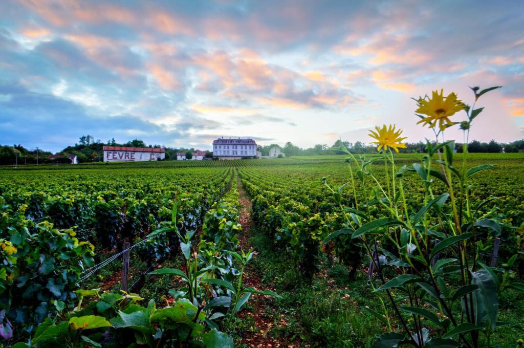 Maisons de vacances Gites Chateau Comblanchien 4 chemin des carrieres, 21700 Comblanchien