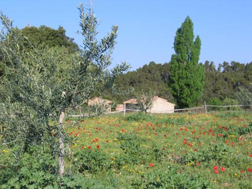 Maisons de vacances Gites de Fontroussière Domaine de Fontroussière 2362 Route de Saint-Lambert Flayosc