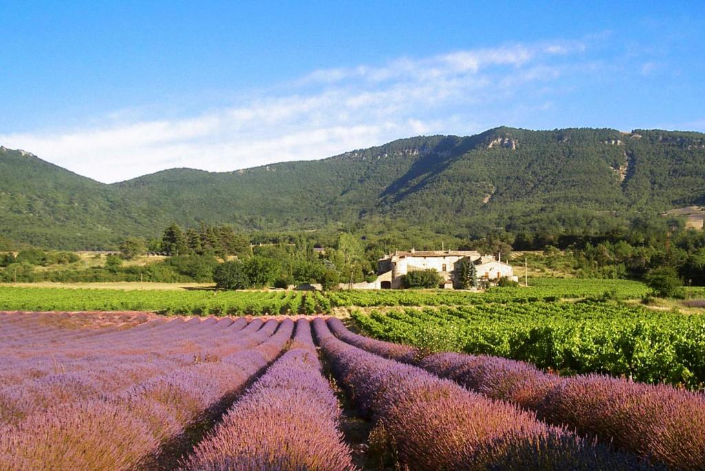 Maisons de vacances Gîtes du Château d'Alençon 1005 Chemin d'alençon, 26770 Le Péage