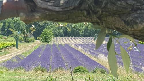 Maisons de vacances Gîtes du Château d'Alençon 1005 Chemin d'alençon Le Péage