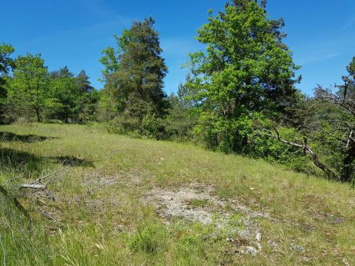 Maisons de vacances Gîtes du Chêne Vert Panissal Montignac